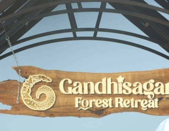 Your Ultimate Escape into Excitement: Gandhisagar Forest Retreat