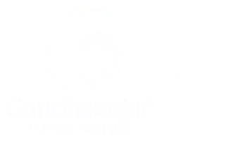 Gandhisagar