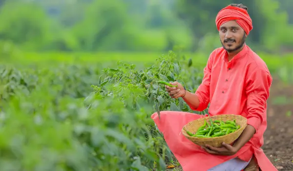 agro-tourism